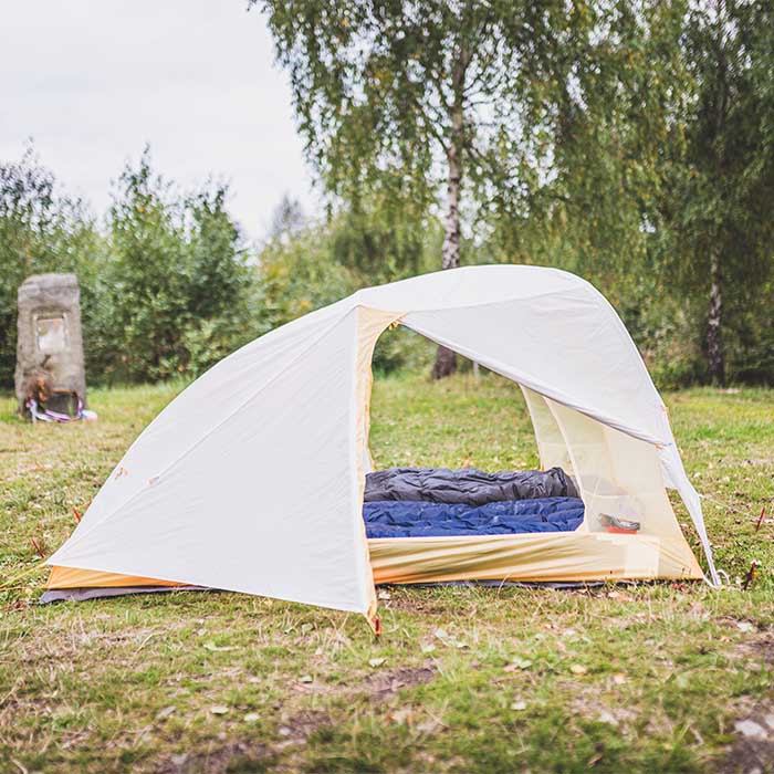 BA Tiger Wall Real Foto