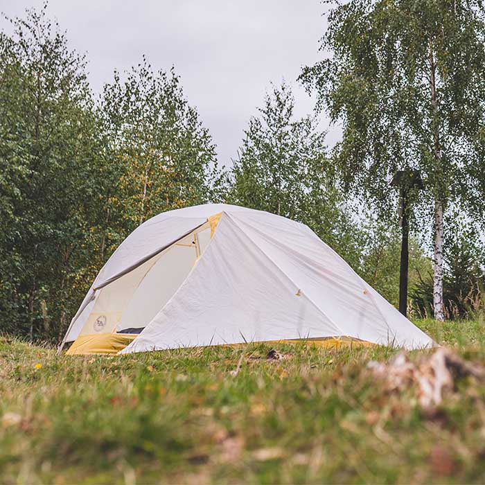 BA Tiger Wall Real Foto 2