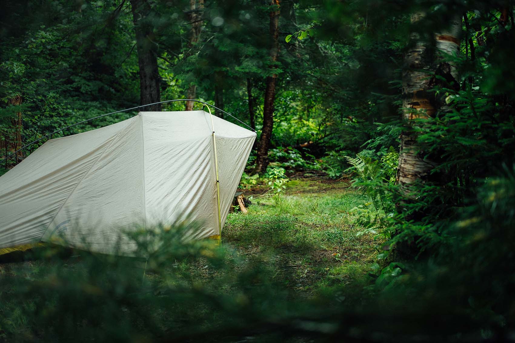 Ultralehký, komfortní a odolný stan postavený v lese