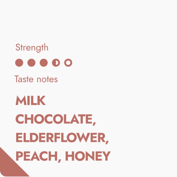 Guatemala Coffeebrewer Coffeebrewer The Brew Company 733426 1200x (1)