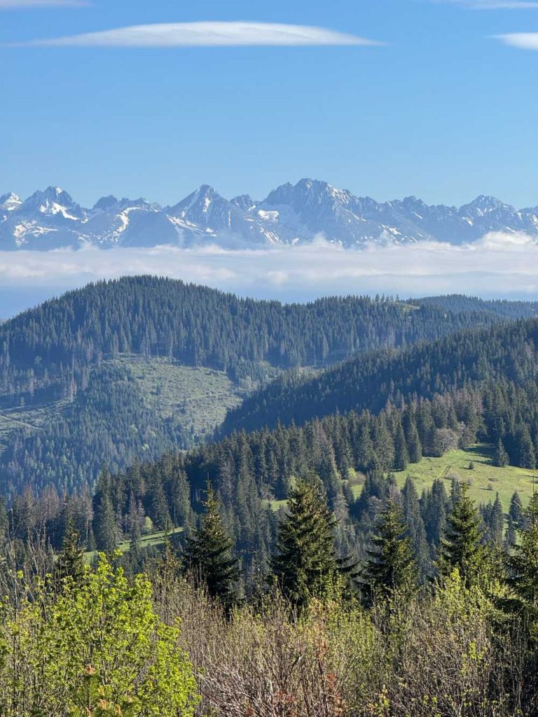 Výhled na Vysoké Tatry