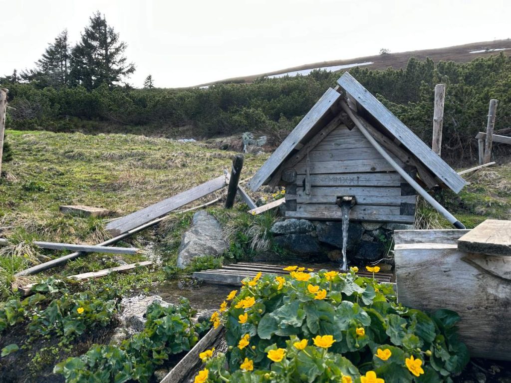 Studánka s vydatným proudem vody u útulny Ďurková v Nízkých Tatrách.