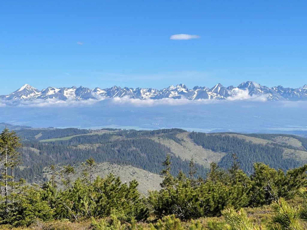 Výhledy na pohoří Vysoké Tatry od Kriváně až po Lomnický štít. Takové výhledy tě čekají například z Královy holy.