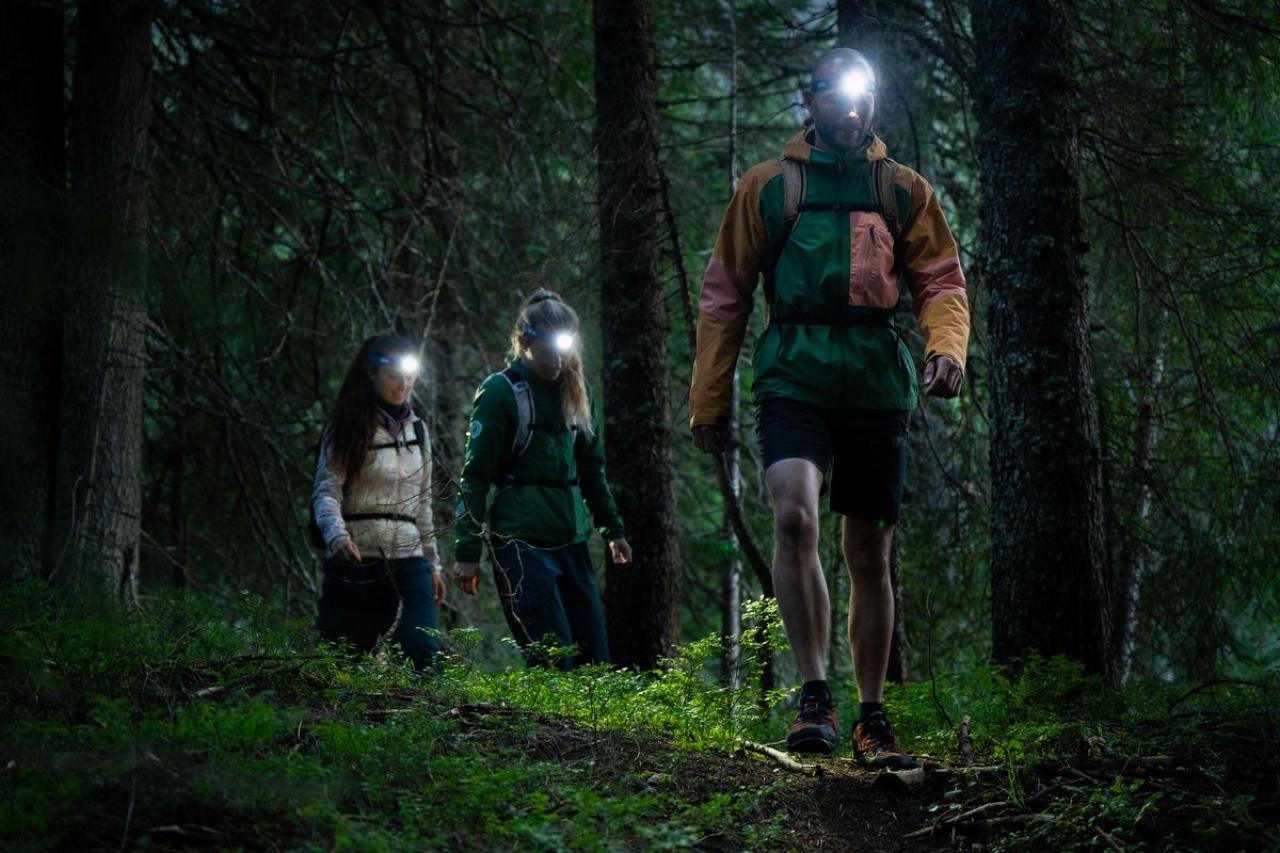 Petzl Tikka Core 2025 15