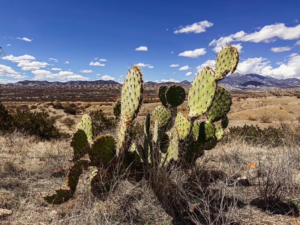 Lucie Kutrová Arizona Trail Ambasador Gramino 14 – Gramino