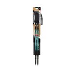 Fizan Compact 2026 Smaragdova 02