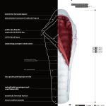 Patizon G 600 Specifikace