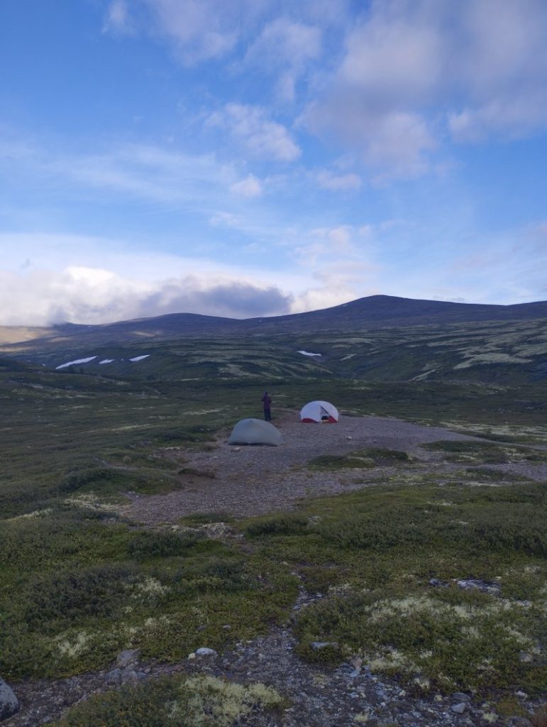 Cesta Svateho Olafa 5 – Gramino Drsná tundra v pohoří Dovrefjell
